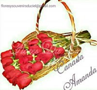Canasta Amanda