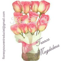 Tronco Magdalena