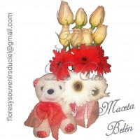 Maceta Belen